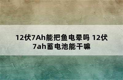 12伏7Ah能把鱼电晕吗 12伏7ah蓄电池能干嘛